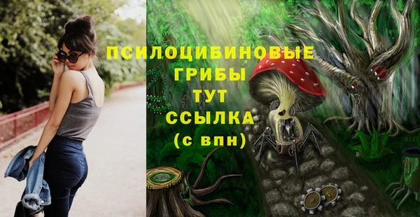 МДМА Белокуриха