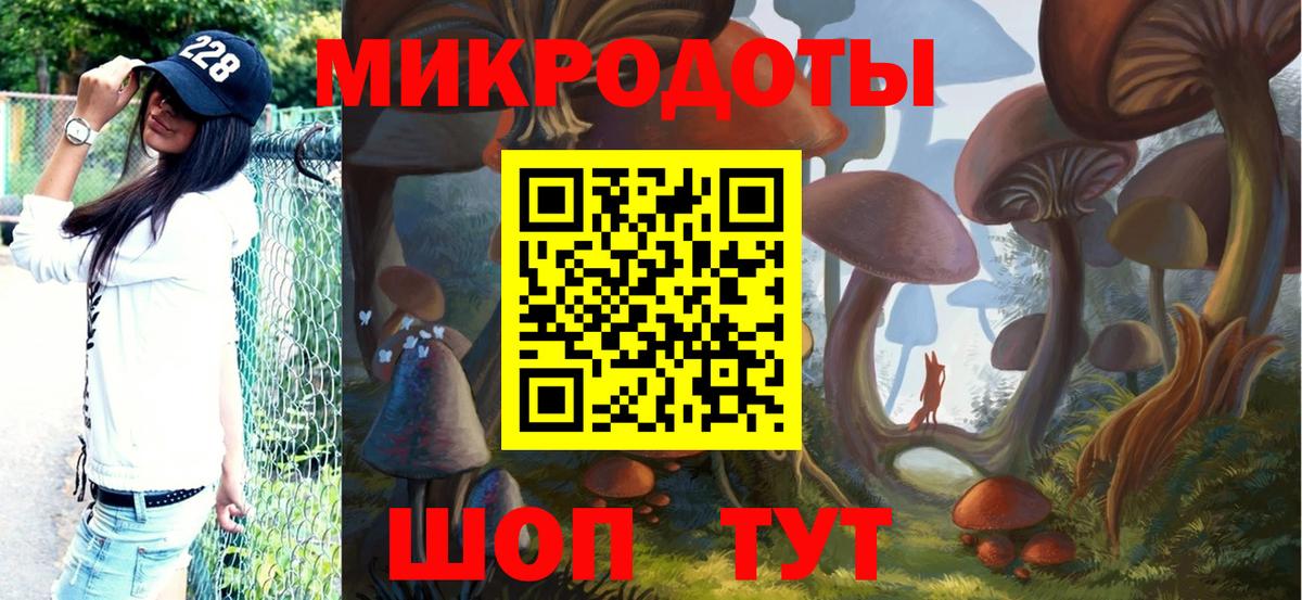 Псилоцибиновые грибы Cubensis Губкинский